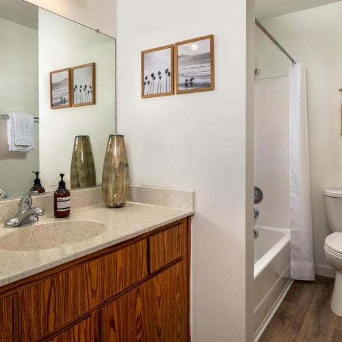 a bathroom with a marble countertop